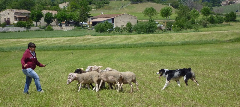 Flatsy de la Victoire d'Urtie